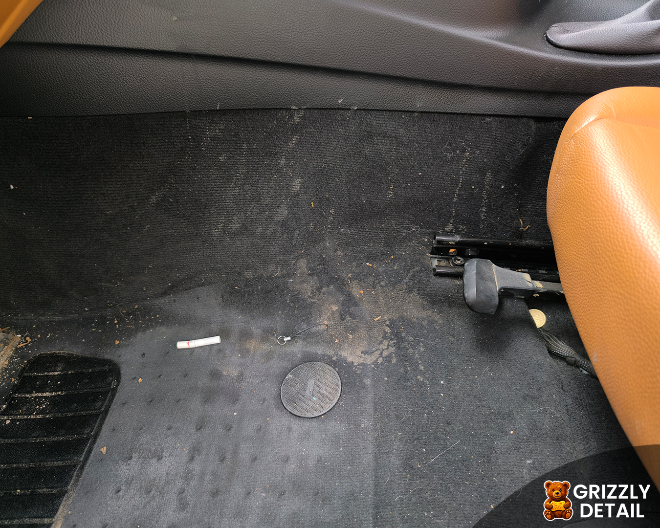 Detailing Interior Grizzly Detail